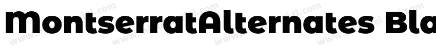 MontserratAlternates Black 11字体转换